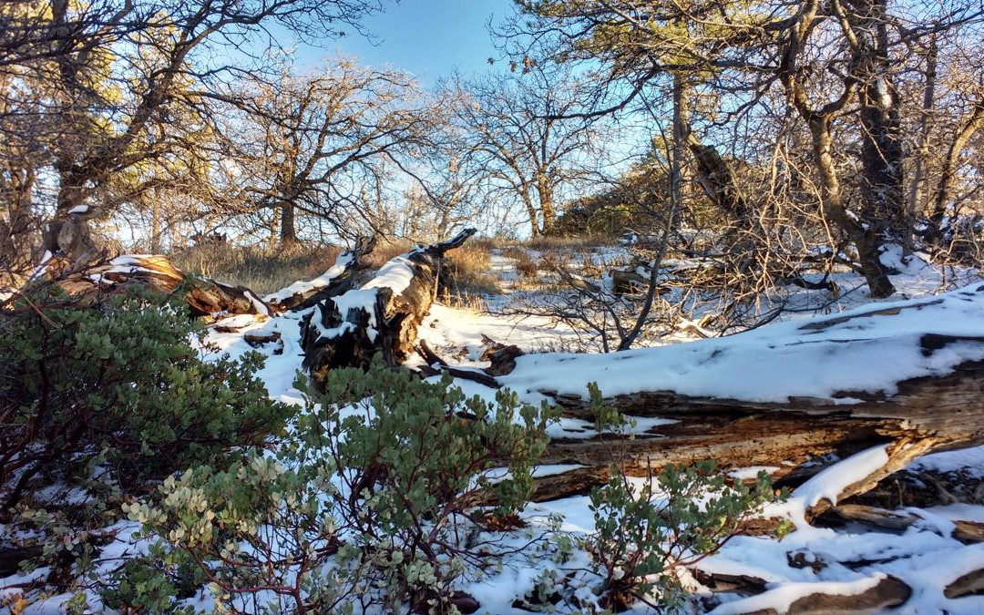 Mount Laguna旅游攻略图片
