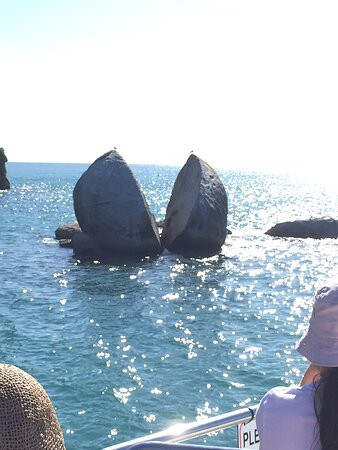 Bay Tours Nelson-尼尔森必去景点