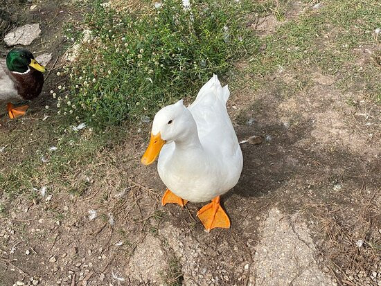 Southern Fresh Farms-迈尔斯堡必去景点