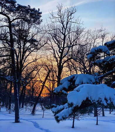 Delaware Park-水牛城必去景点
