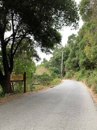 Forest of Nisene Marks State Park景点图片
