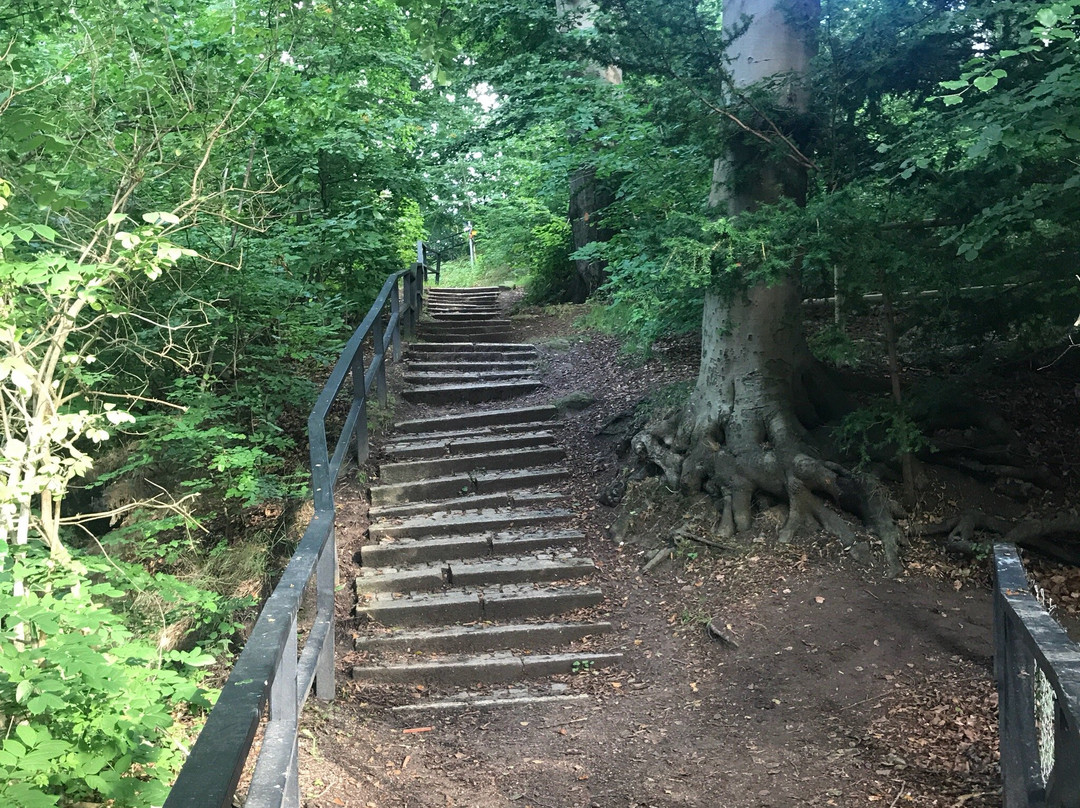 Pålsjö skog-赫尔辛堡必去景点