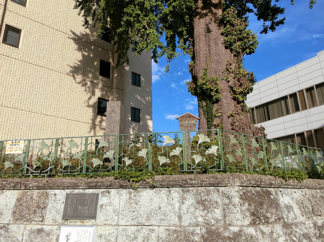 Oicho-宇都宫市必去景点