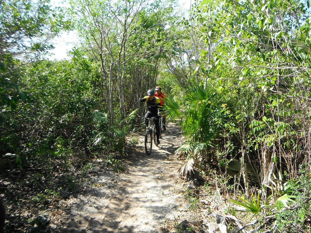 Punta Venado Bike Park-普拉亚德尔卡曼必去景点