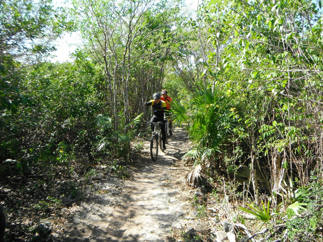 Punta Venado Bike Park景点图片