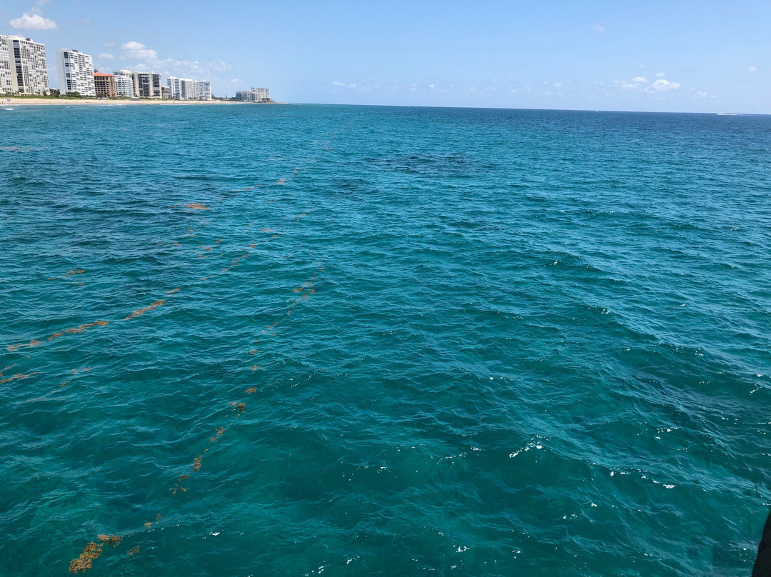 迪尔菲尔德比奇旅游攻略图片