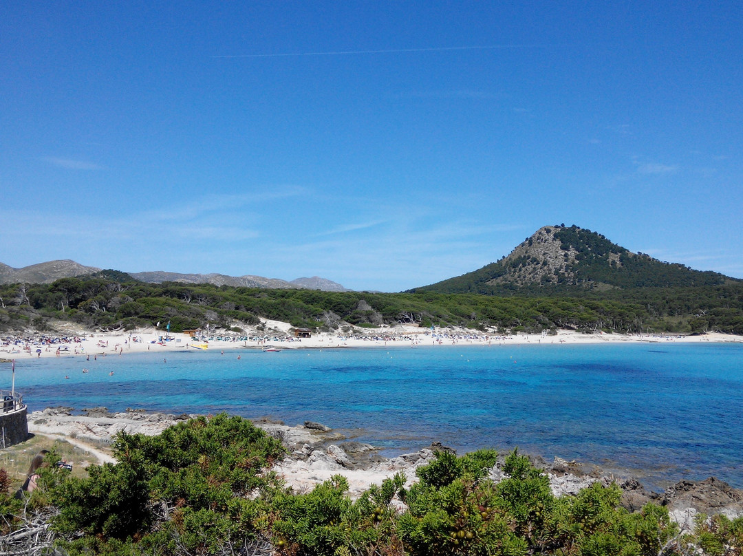 Cala Ratjada旅游攻略图片