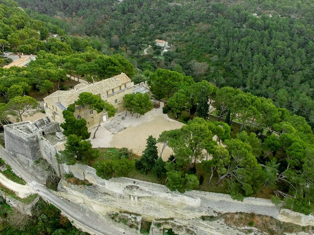 Château de Saumane景点图片