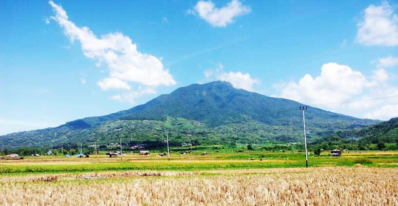 Mount Singgalang景点图片