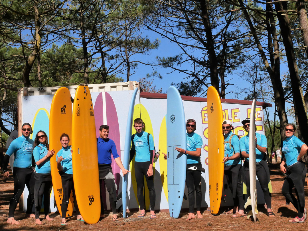 So Nice Surf School景点图片