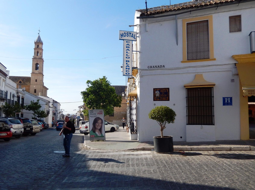 Osuna酒店住宿-Hostal El Caballo Blanco