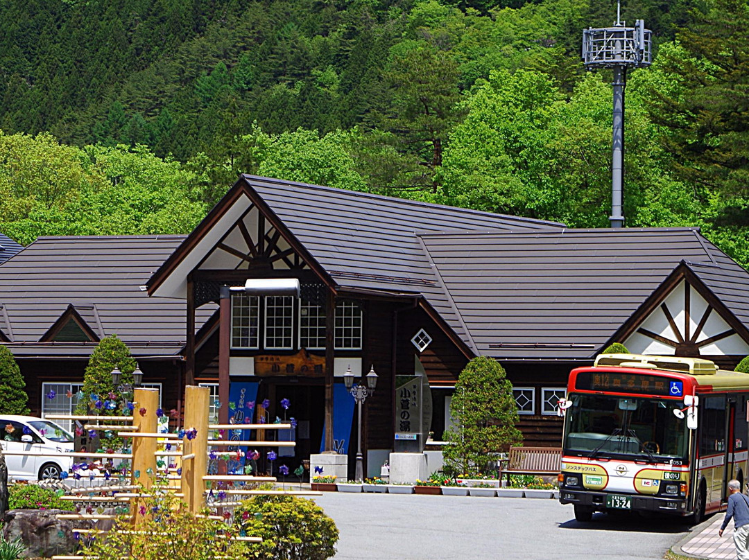 Kosugenoyu-小菅村必去景点