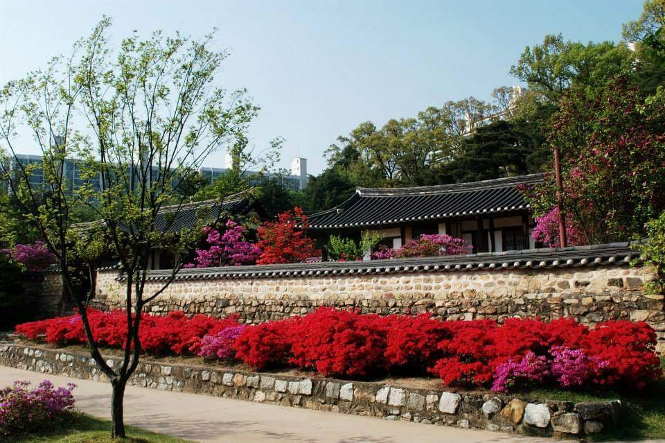 Song Yong-eok House-大田必去景点