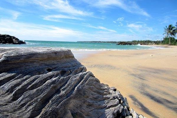 Silk Island Tours-科伦坡必去景点
