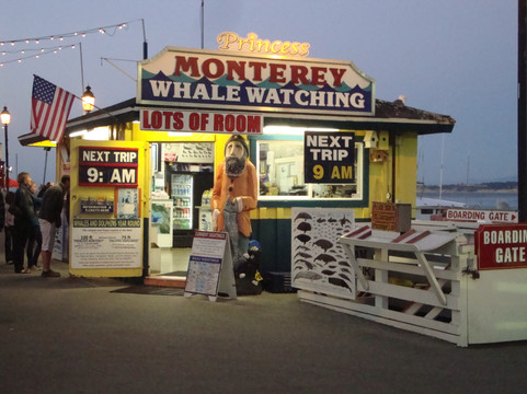 蒙特雷公主观鲸之旅-蒙特雷必去景点