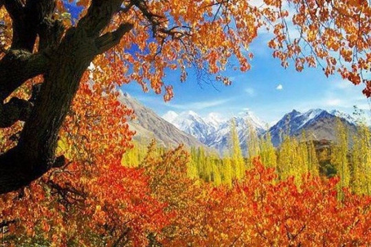 Royal's Adventure Club (Pvt) Ltd.