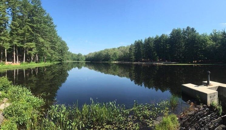 Chatfield Hollow State Park景点图片