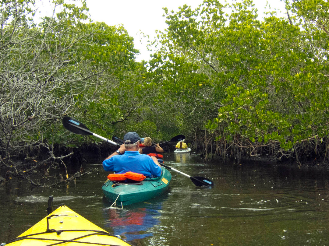 GAEA Guides - Guided Kayak Nature Tours-迈尔斯堡必去景点