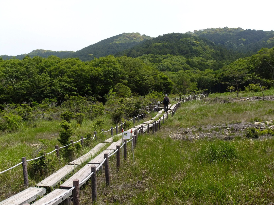 丰桥市旅游攻略图片