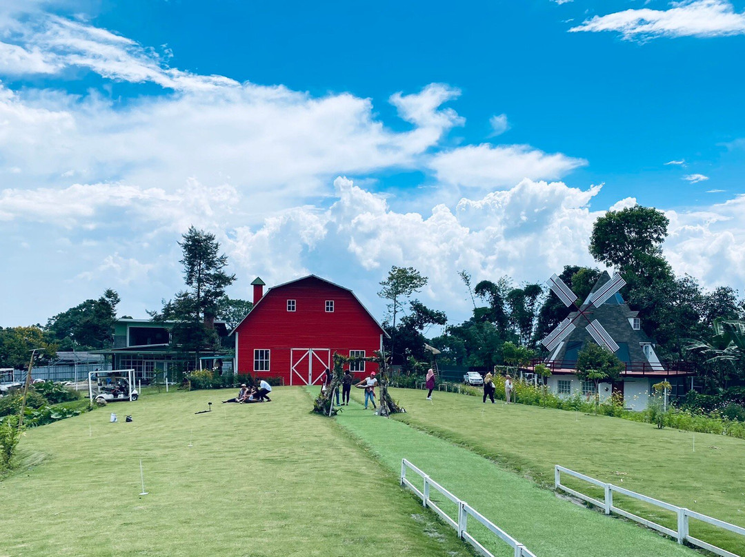 Strawberry Guyabao Farm景点图片