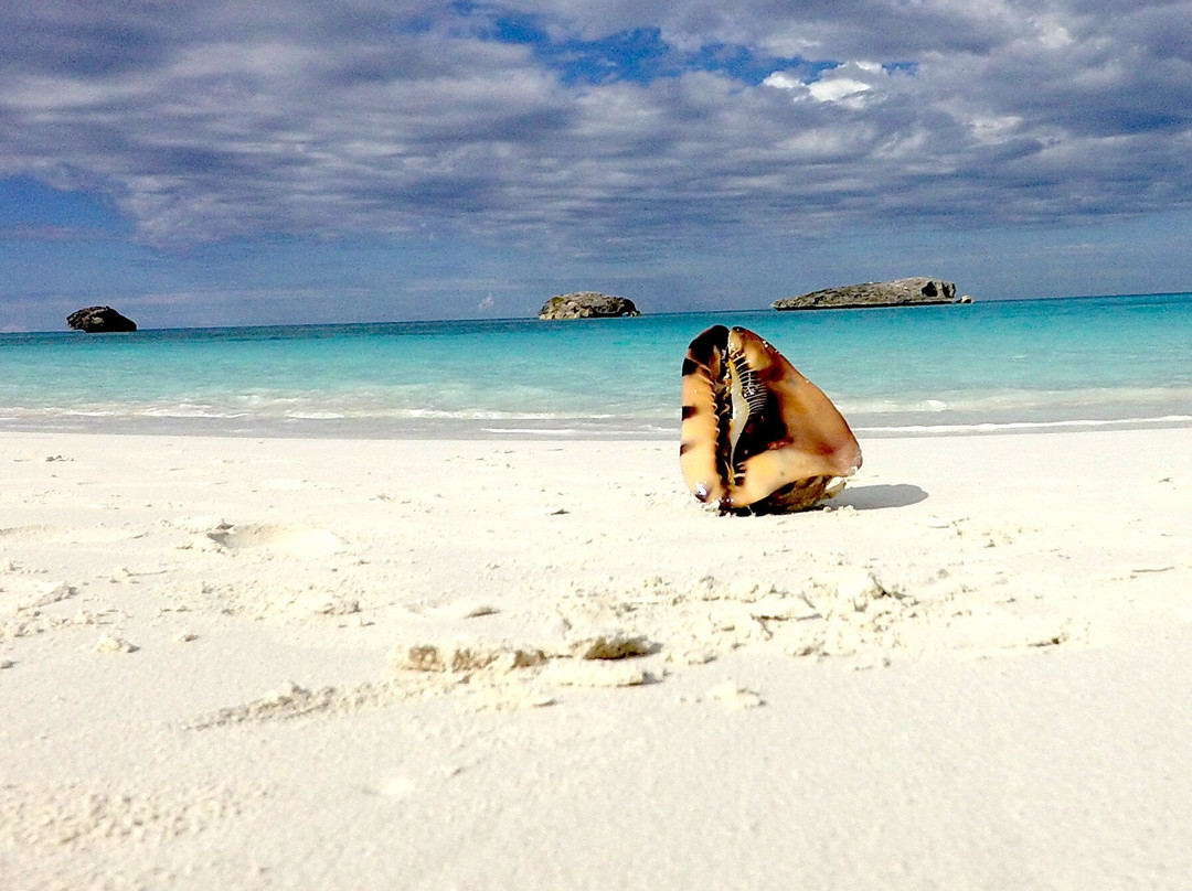 Hooper's Bay Beach-大埃克苏马必去景点