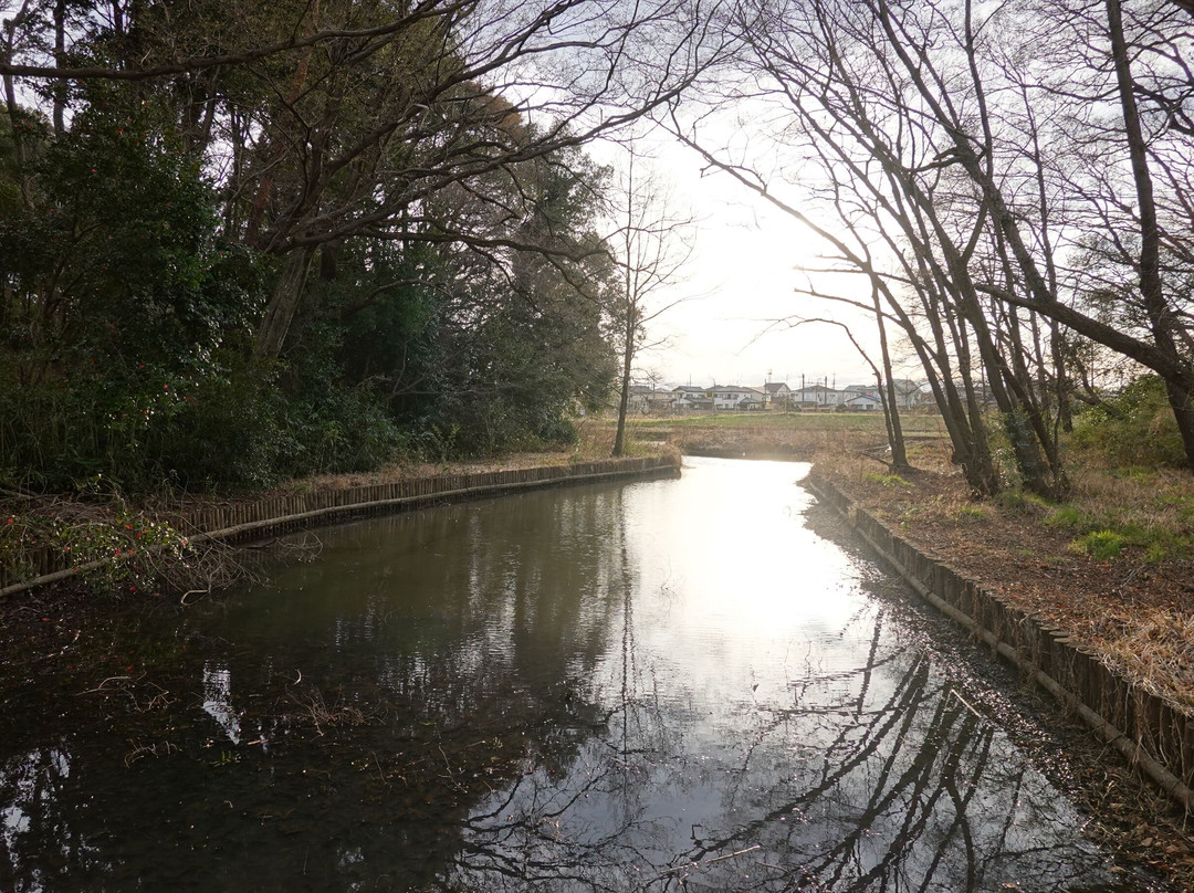 Kurohama Kaizuka Mound-莲田市必去景点