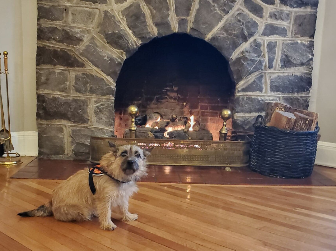 Princess Anne Hotel主图