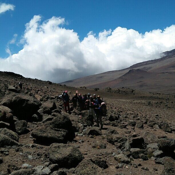 Mount Kilimanjaro景点图片