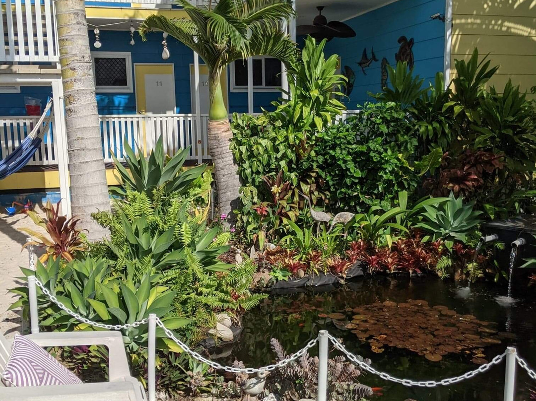 Coral Inn Boutique Motel主图