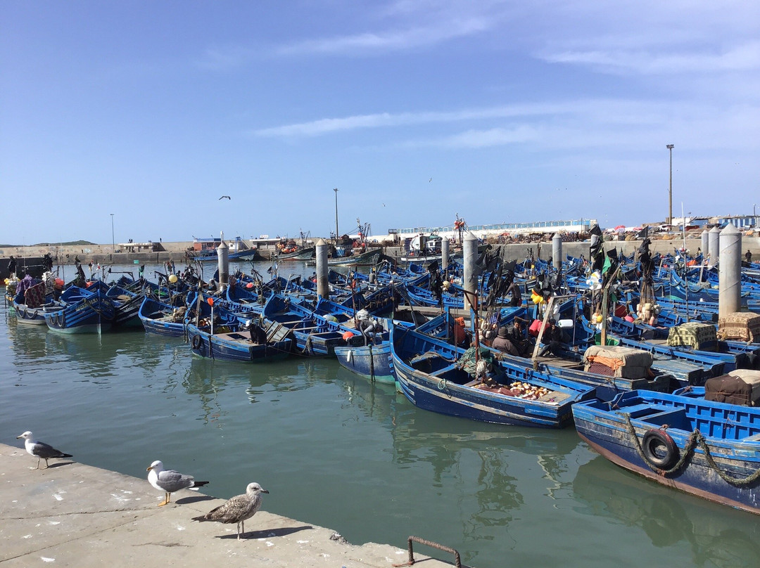 索维拉渔港景点图片