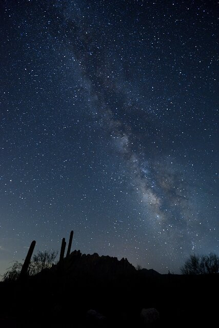 Ironwood Forest National Monument景点图片