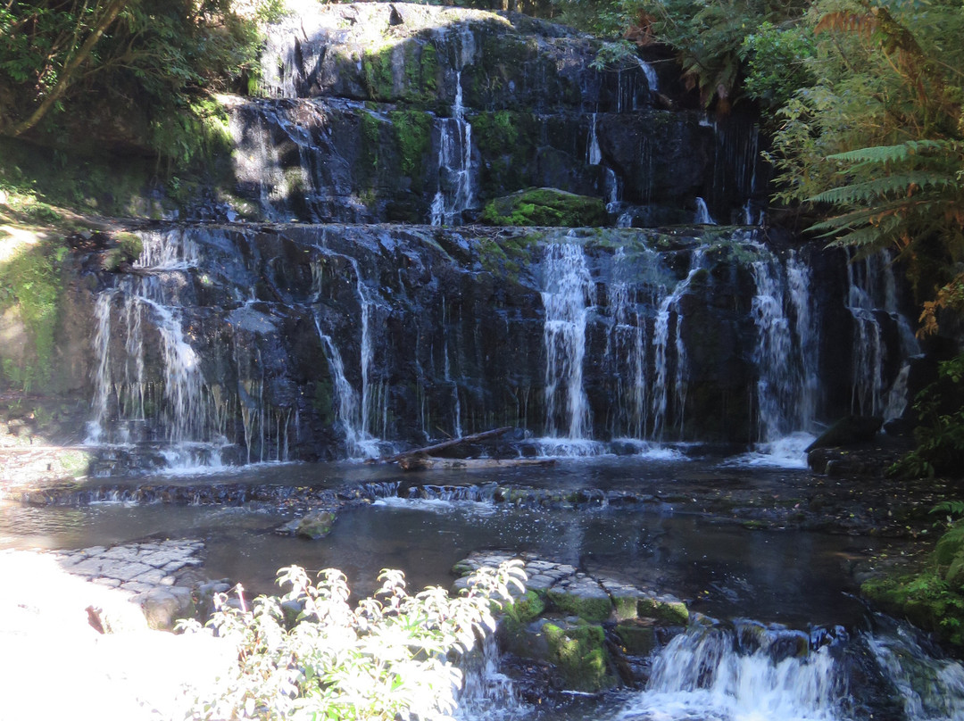 Purakaunui Falls景点图片