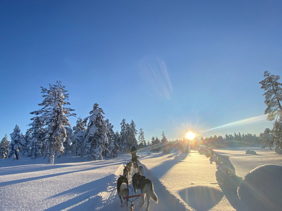 Hedmarksvidda Husky Tours-Brumunddal必去景点