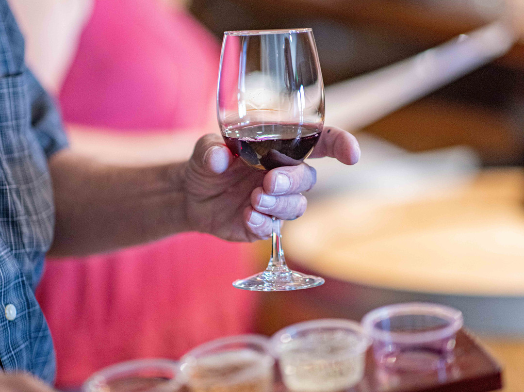 Fredericksburg Cable Car Wine Tours-弗雷德里克斯堡必去景点