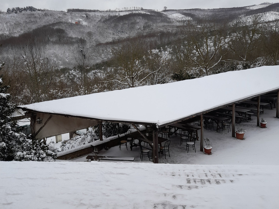 Agriturismo Ricciardelli主图