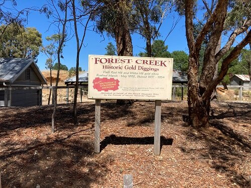 Forest Creek Historic Gold Diggins