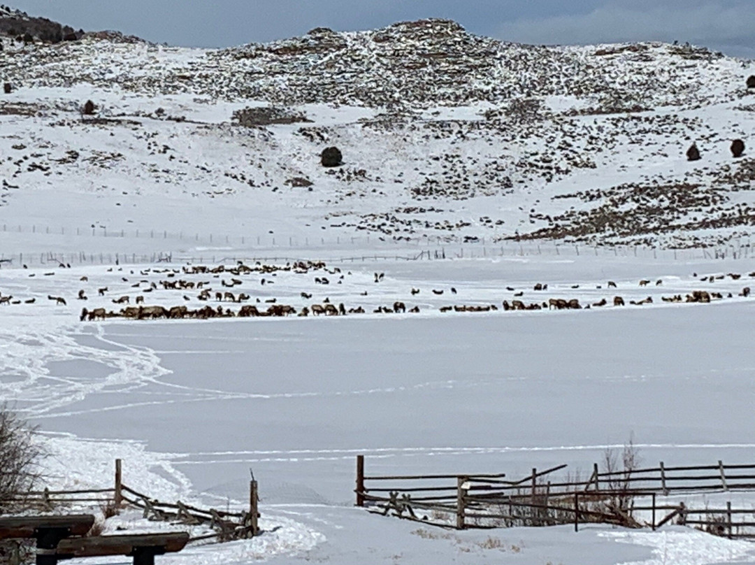 Hardware Ranch-洛根必去景点