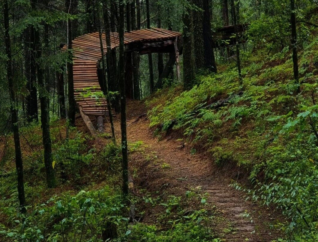 Bike Flow Oaxaca - Bike tours & rentals景点图片
