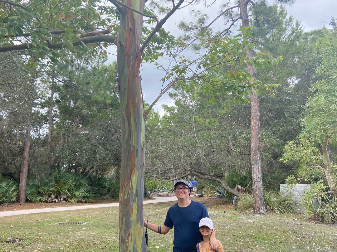 Port St Lucie Botanical Gardens-圣露西港必去景点
