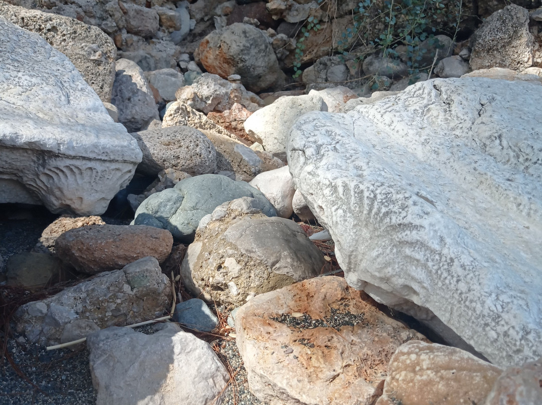 Phaselis Koyu景点图片