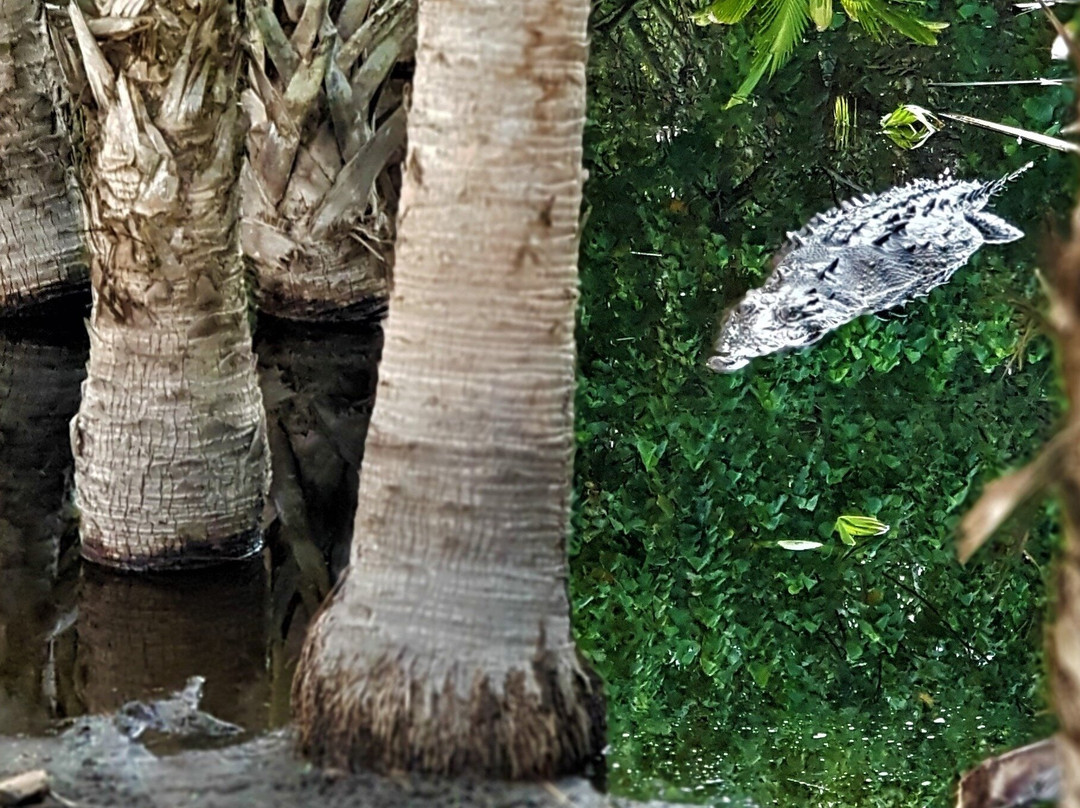 VIVE TOURS OAXACA-Mazunte必去景点