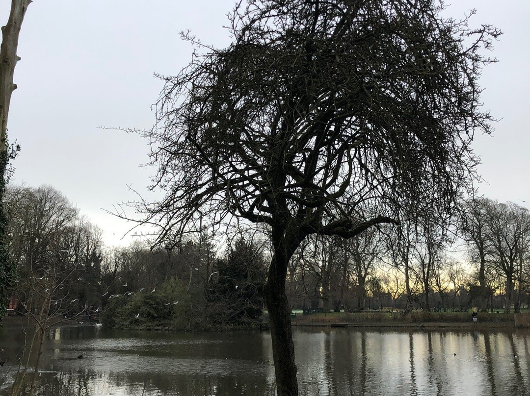 Alexandra Park-曼彻斯特必去景点