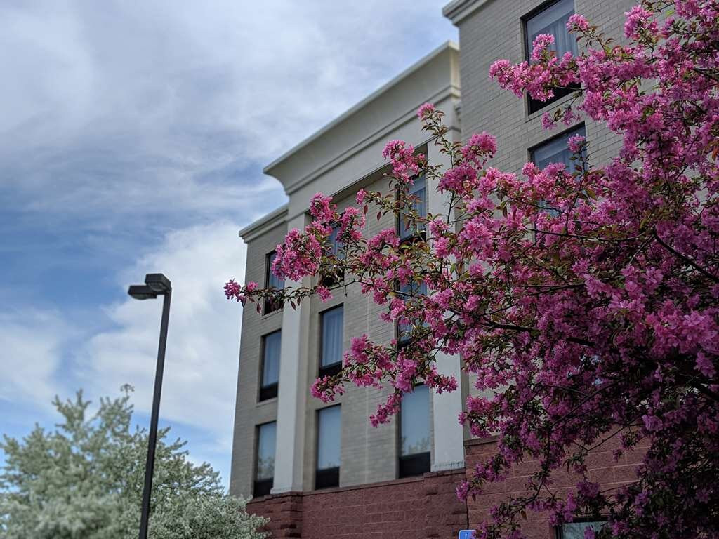 Hampton Inn & Suites Cincinnati-Union Centre主图