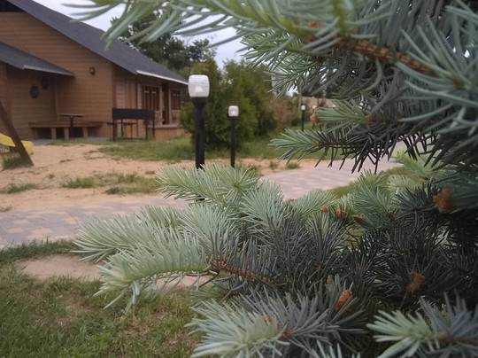 Family Leisure Club  Forest Grill-伏尔加格勒必去景点