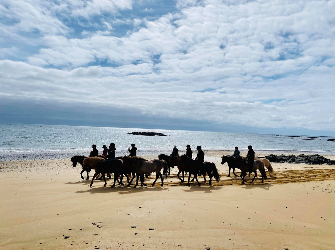 Gröf Horseback Riding Iceland & The Holy Ram Lodge-Arnarstapi必去景点