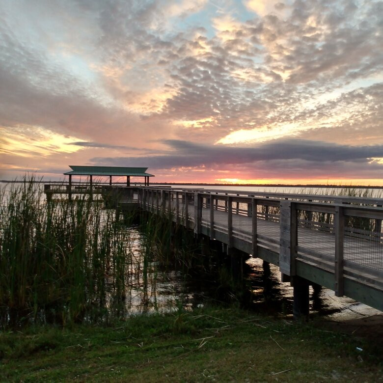Airboats and Alligators at Lake Trafford Marina-Immokalee必去景点