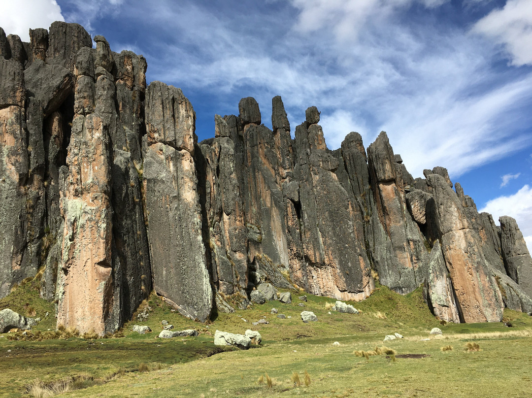 Bosque de piedras de Huayllay-Cerro de Pasco必去景点