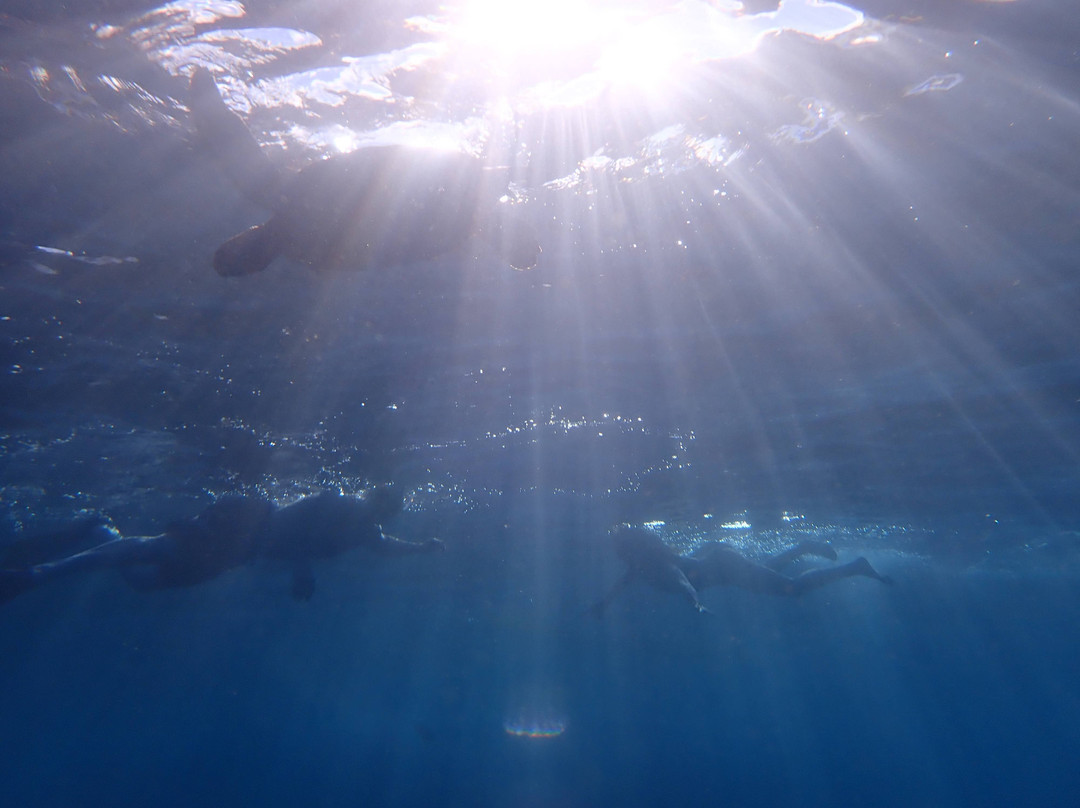 Ohana Ocean Adventures-Makena必去景点