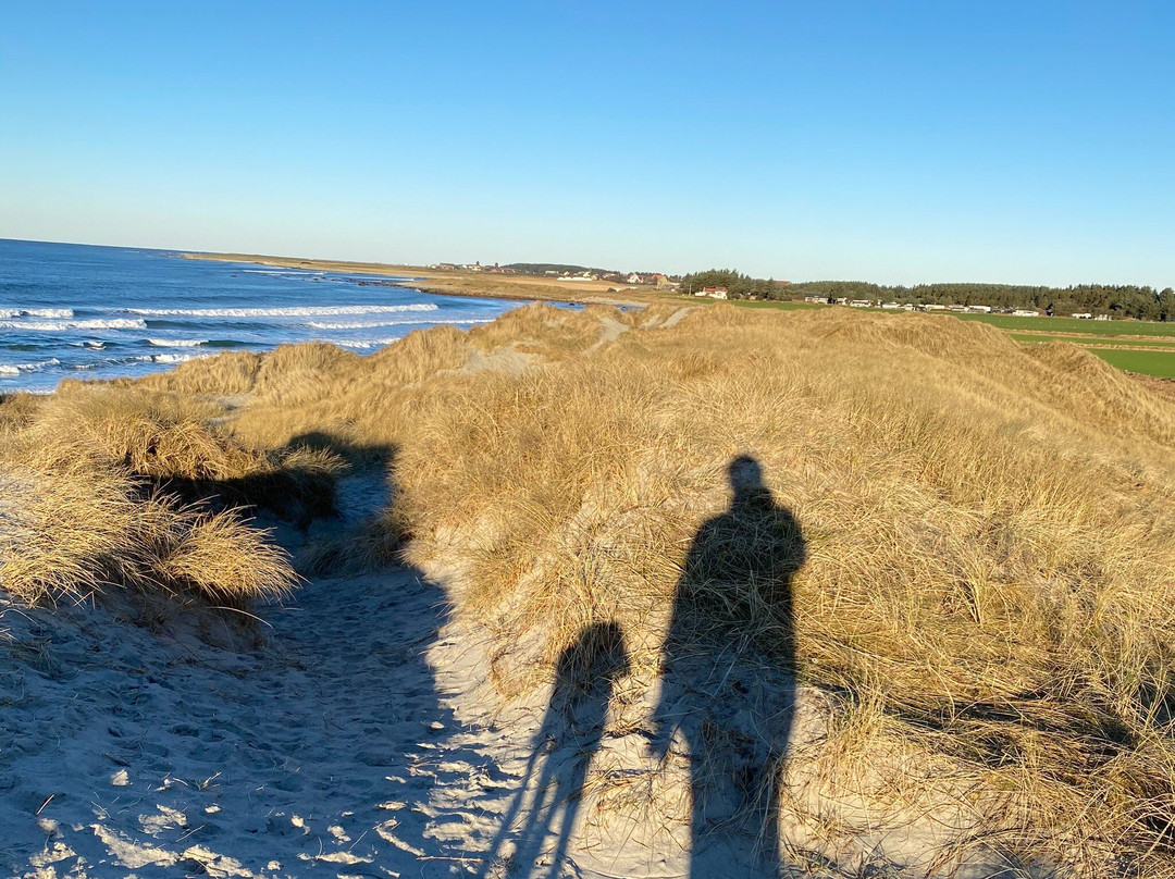 Refsnes Beach景点图片