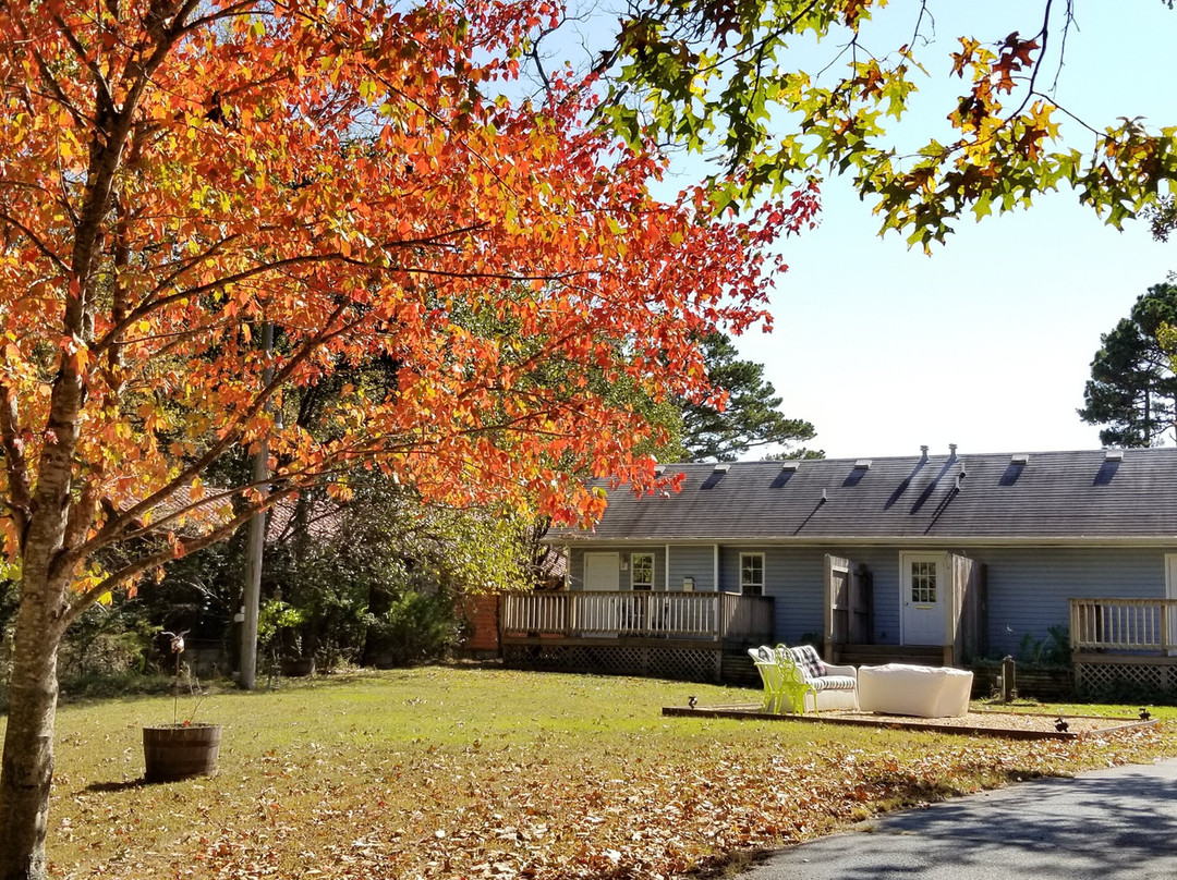 Evening Shade Inn B & Tea主图